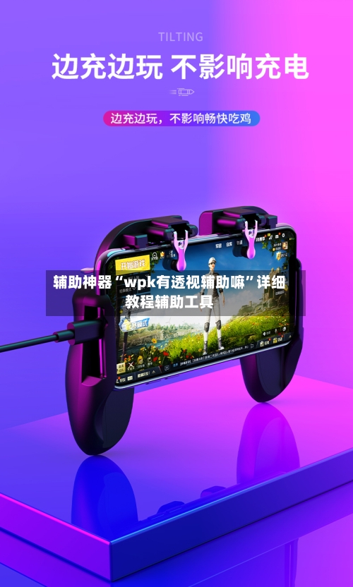 辅助神器“wpk有透视辅助嘛”详细教程辅助工具-第1张图片