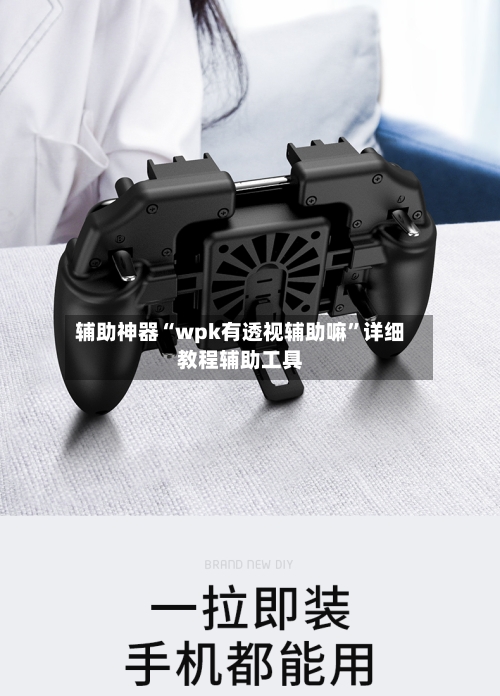 辅助神器“wpk有透视辅助嘛”详细教程辅助工具-第2张图片