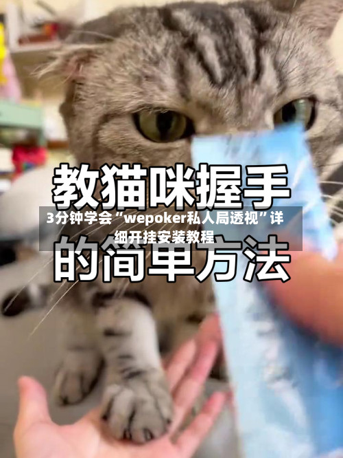 3分钟学会“wepoker私人局透视”详细开挂安装教程-第1张图片