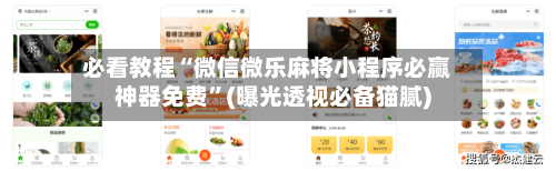 必看教程“微信微乐麻将小程序必赢神器免费”(曝光透视必备猫腻)-第1张图片