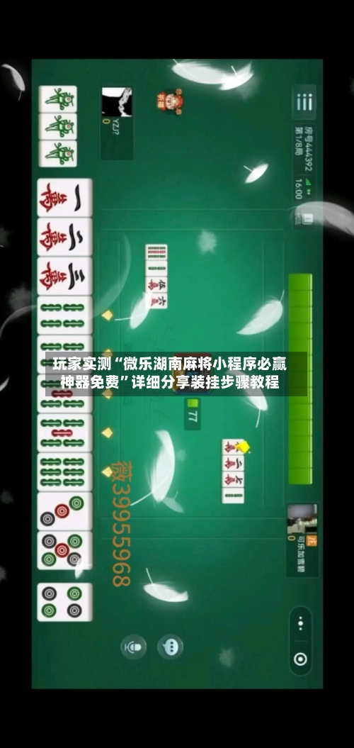 玩家实测“微乐湖南麻将小程序必赢神器免费	”详细分享装挂步骤教程-第1张图片