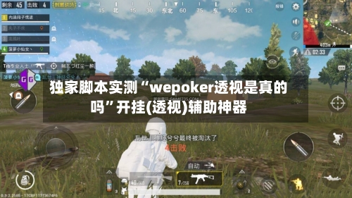 独家脚本实测“wepoker透视是真的吗”开挂(透视)辅助神器-第2张图片