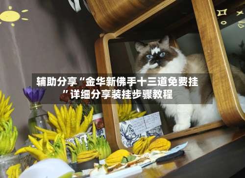 辅助分享“金华新佛手十三道免费挂”详细分享装挂步骤教程-第1张图片