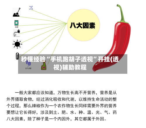 秒懂经验“手机跑胡子透视”开挂(透视)辅助教程-第2张图片