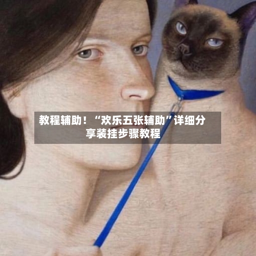 教程辅助！“欢乐五张辅助	”详细分享装挂步骤教程-第2张图片