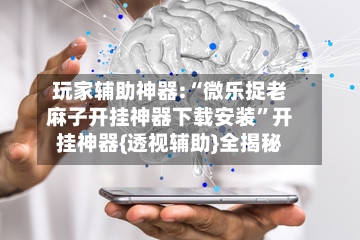 玩家辅助神器:“微乐捉老麻子开挂神器下载安装”开挂神器{透视辅助}全揭秘-第1张图片