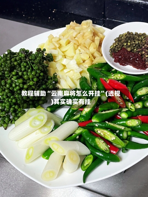 教程辅助“云南麻将怎么开挂”(透视)其实确实有挂-第3张图片