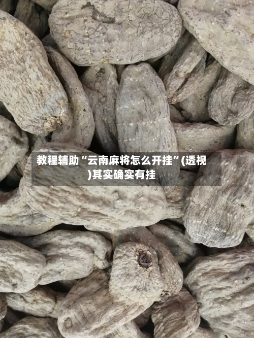 教程辅助“云南麻将怎么开挂	”(透视)其实确实有挂-第2张图片