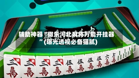 辅助神器“微乐河北麻将万能开挂器”(曝光透视必备猫腻)-第2张图片