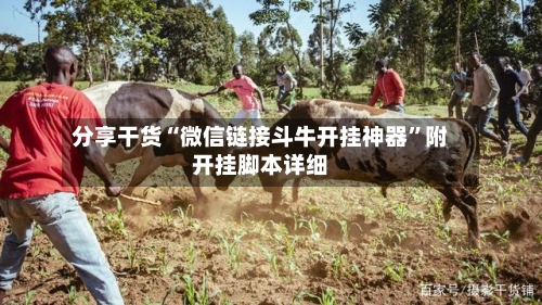 分享干货“微信链接斗牛开挂神器”附开挂脚本详细-第2张图片