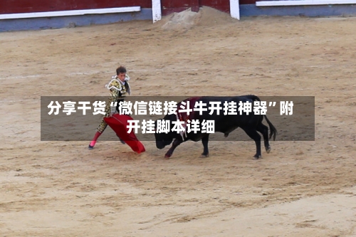 分享干货“微信链接斗牛开挂神器”附开挂脚本详细-第3张图片