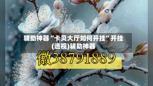 辅助神器“卡贝大厅如何开挂	”开挂(透视)辅助神器-第3张图片