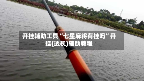 开挂辅助工具“七星麻将有挂吗	”开挂(透视)辅助教程-第2张图片