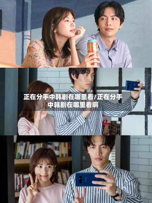 正在分手中韩剧在哪里看/正在分手中韩剧在哪里看啊-第1张图片