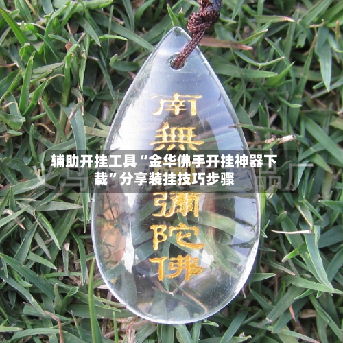 辅助开挂工具“金华佛手开挂神器下载”分享装挂技巧步骤-第1张图片