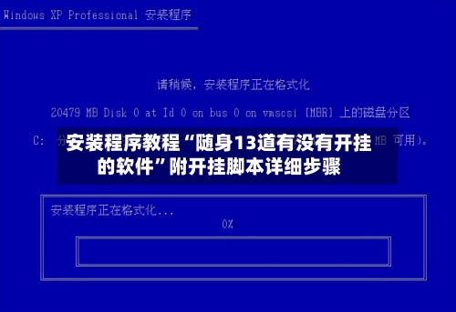 安装程序教程“随身13道有没有开挂的软件	”附开挂脚本详细步骤-第1张图片