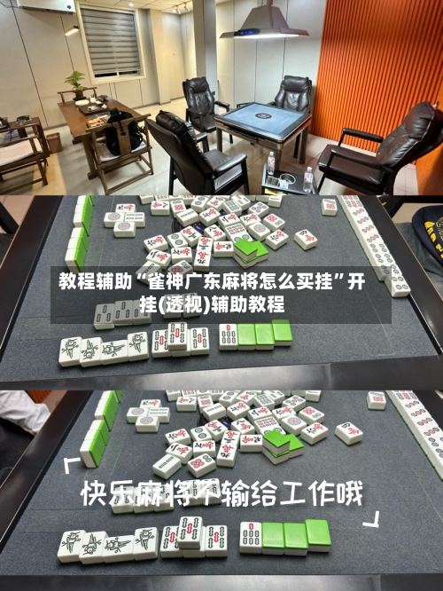 教程辅助“雀神广东麻将怎么买挂”开挂(透视)辅助教程-第2张图片