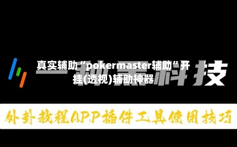 真实辅助“pokermaster辅助”开挂(透视)辅助神器-第3张图片