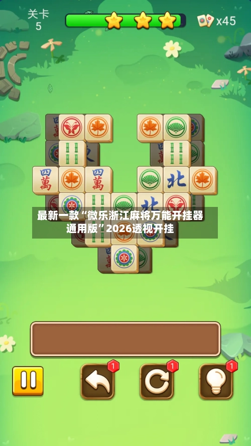 最新一款“微乐浙江麻将万能开挂器通用版	”2026透视开挂-第1张图片