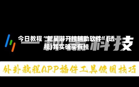 今日教程“新星游开挂辅助软件	”(透视)其实确实有挂-第2张图片