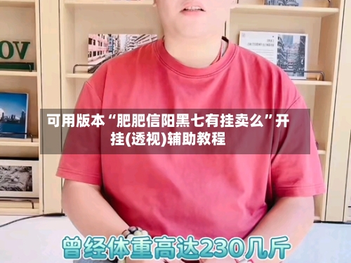 可用版本“肥肥信阳黑七有挂卖么	”开挂(透视)辅助教程-第1张图片