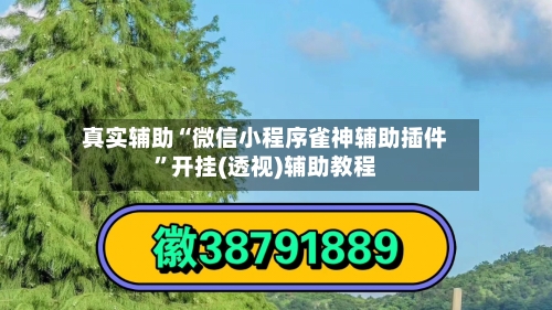真实辅助“微信小程序雀神辅助插件”开挂(透视)辅助教程-第2张图片