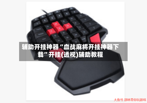 辅助开挂神器“血战麻将开挂神器下载”开挂(透视)辅助教程-第1张图片