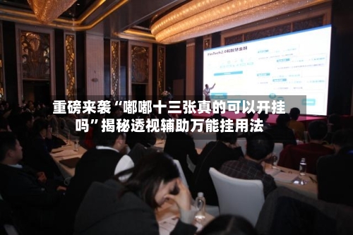 重磅来袭“嘟嘟十三张真的可以开挂吗”揭秘透视辅助万能挂用法-第3张图片