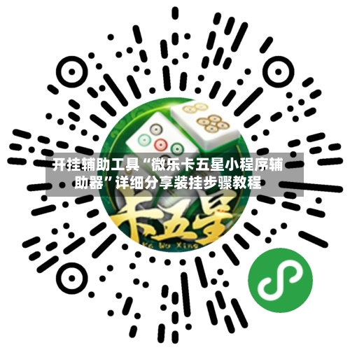 开挂辅助工具“微乐卡五星小程序辅助器”详细分享装挂步骤教程-第3张图片