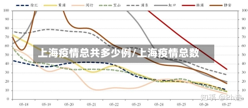 上海疫情总共多少例/上海疫情总数-第1张图片