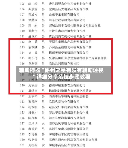 辅助神器“德州之星有没有辅助透视”详细分享装挂步骤教程-第1张图片