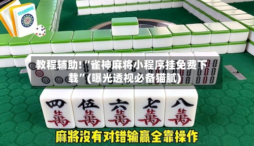 教程辅助!“雀神麻将小程序挂免费下载”(曝光透视必备猫腻)-第1张图片