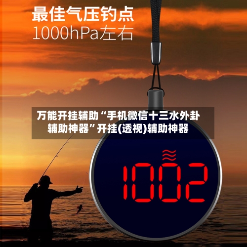 万能开挂辅助“手机微信十三水外卦辅助神器	”开挂(透视)辅助神器-第2张图片