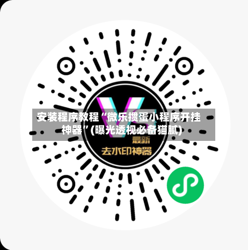 安装程序教程“微乐掼蛋小程序开挂神器”(曝光透视必备猫腻)-第1张图片