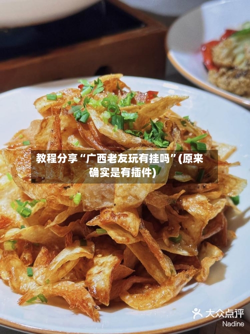 教程分享“广西老友玩有挂吗”(原来确实是有插件)-第1张图片