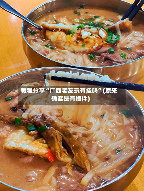 教程分享“广西老友玩有挂吗”(原来确实是有插件)-第2张图片