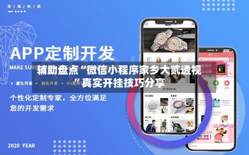 辅助盘点“微信小程序家乡大贰透视”真实开挂技巧分享-第1张图片