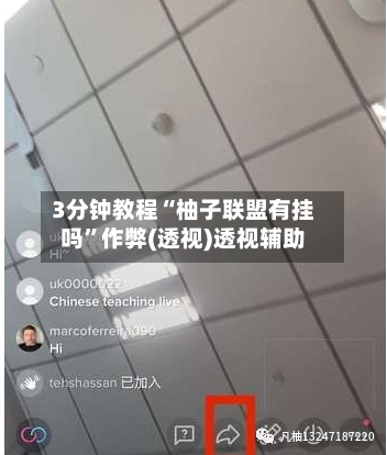 3分钟教程“柚子联盟有挂吗”作弊(透视)透视辅助-第2张图片