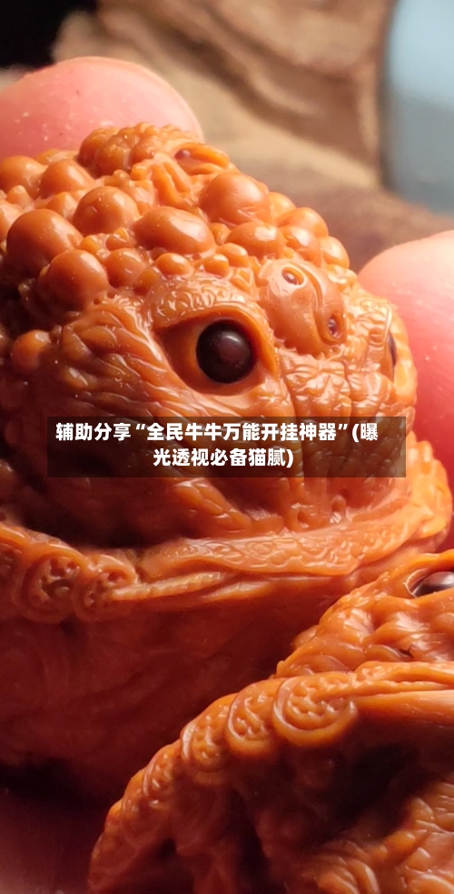 辅助分享“全民牛牛万能开挂神器”(曝光透视必备猫腻)-第3张图片