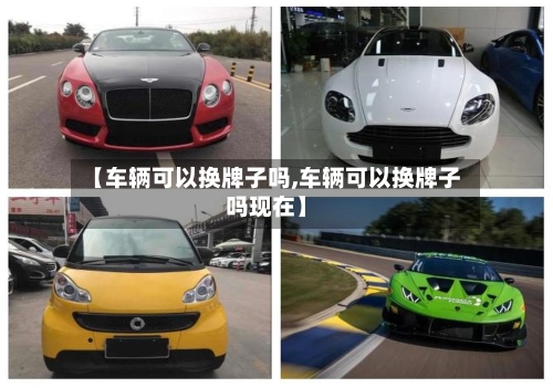 【车辆可以换牌子吗,车辆可以换牌子吗现在】-第1张图片