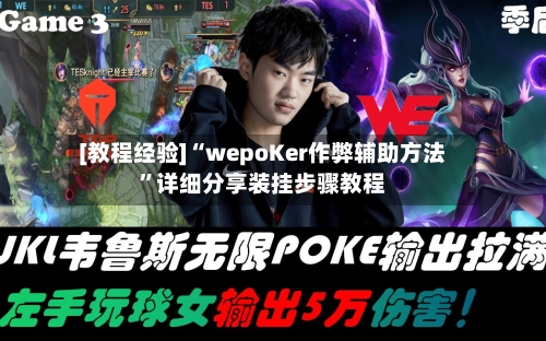 [教程经验]“wepoKer作弊辅助方法”详细分享装挂步骤教程-第1张图片