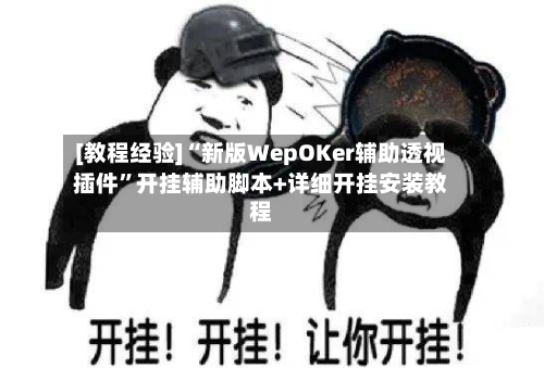 [教程经验]“新版WepOKer辅助透视插件”开挂辅助脚本+详细开挂安装教程-第1张图片