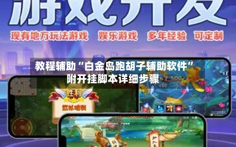 教程辅助“白金岛跑胡子辅助软件”附开挂脚本详细步骤-第2张图片