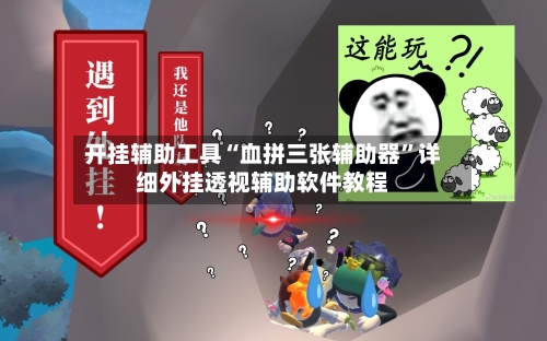 开挂辅助工具“血拼三张辅助器”详细外挂透视辅助软件教程-第3张图片