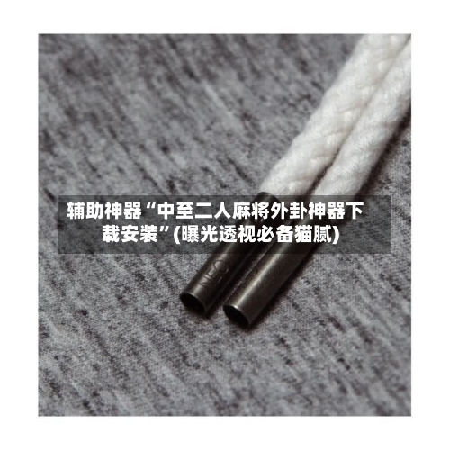 辅助神器“中至二人麻将外卦神器下载安装”(曝光透视必备猫腻)-第1张图片