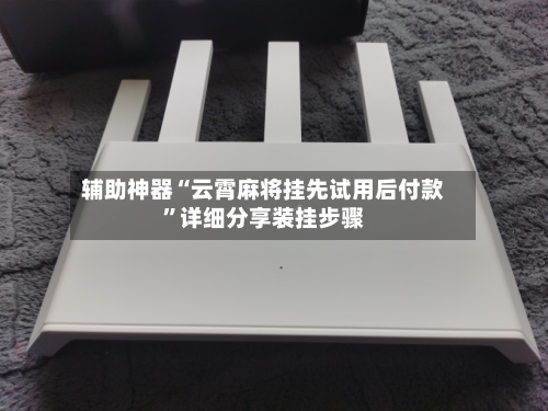 辅助神器“云霄麻将挂先试用后付款”详细分享装挂步骤-第3张图片