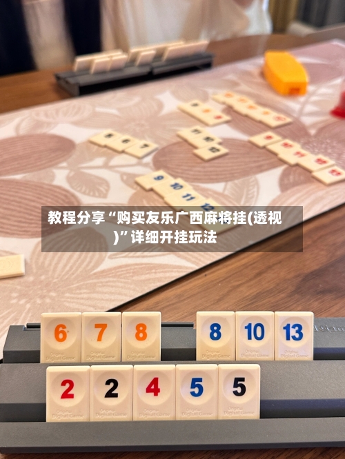 教程分享“购买友乐广西麻将挂(透视)”详细开挂玩法-第1张图片