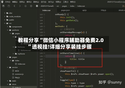 教程分享“微信小程序辅助器免费2.0	”透视挂!详细分享装挂步骤-第1张图片