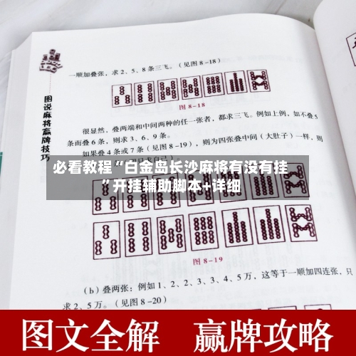必看教程“白金岛长沙麻将有没有挂	”开挂辅助脚本+详细-第1张图片