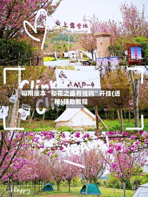 可用版本“樱花之盛有挂吗”开挂(透视)辅助教程-第2张图片